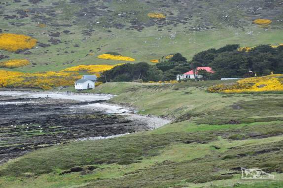 Chegando à fazenda de Rob e Lorraine McGill em Carcass Island, no noroeste das Ilhas Malvinas